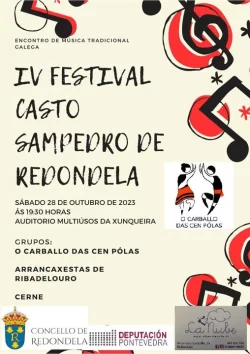Imaxe para IV Festival Castro Sampedro