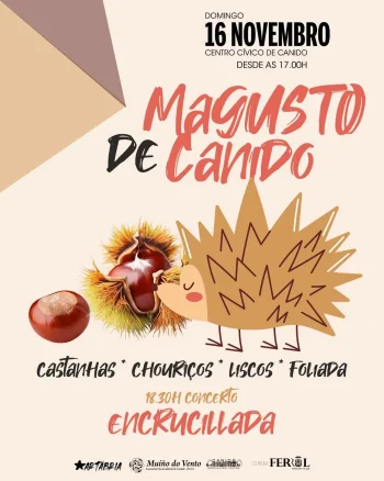 Imaxe para 16 novembro 2025