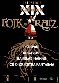 Imaxe para XIX Folk de raíz