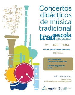 Imaxe para Concertos didácticos de música tradicional