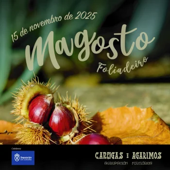 Imaxe para 15 novembro 2025