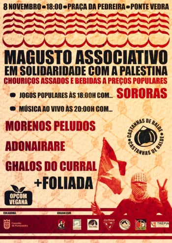 Imaxe para 8 novembro 2025