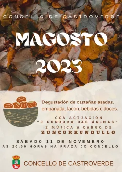 Imaxe para Magosto en Castroverde